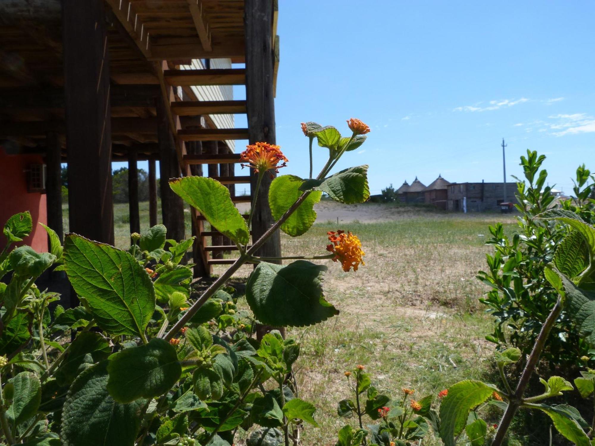 Cabanas El Ocio Punta Del Diablo Eksteriør billede